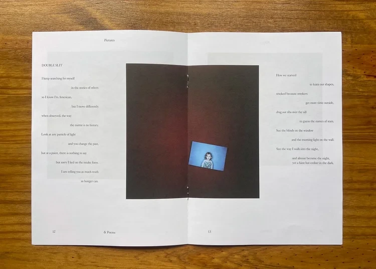 Pictures and Poems No. 03: After the News (Ash Adams) image 4