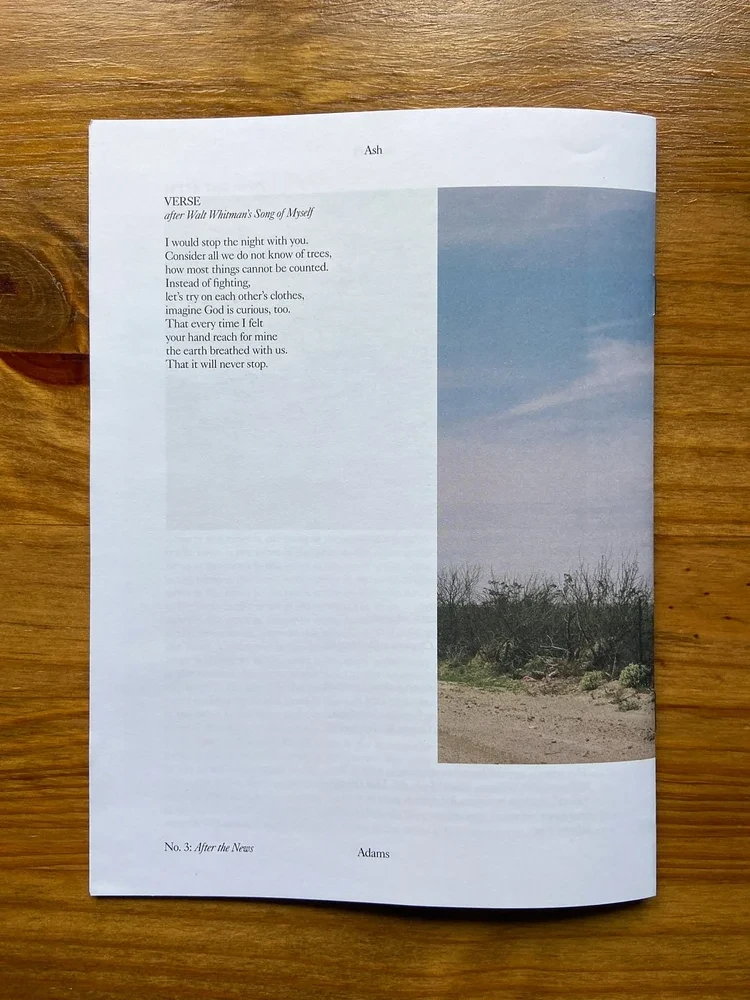 Pictures and Poems No. 03: After the News (Ash Adams) image 7