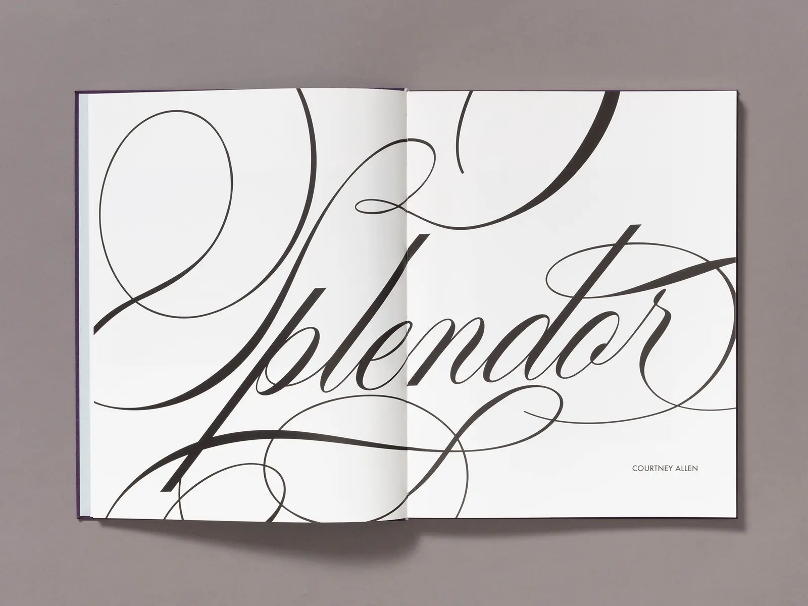 Splendor 3