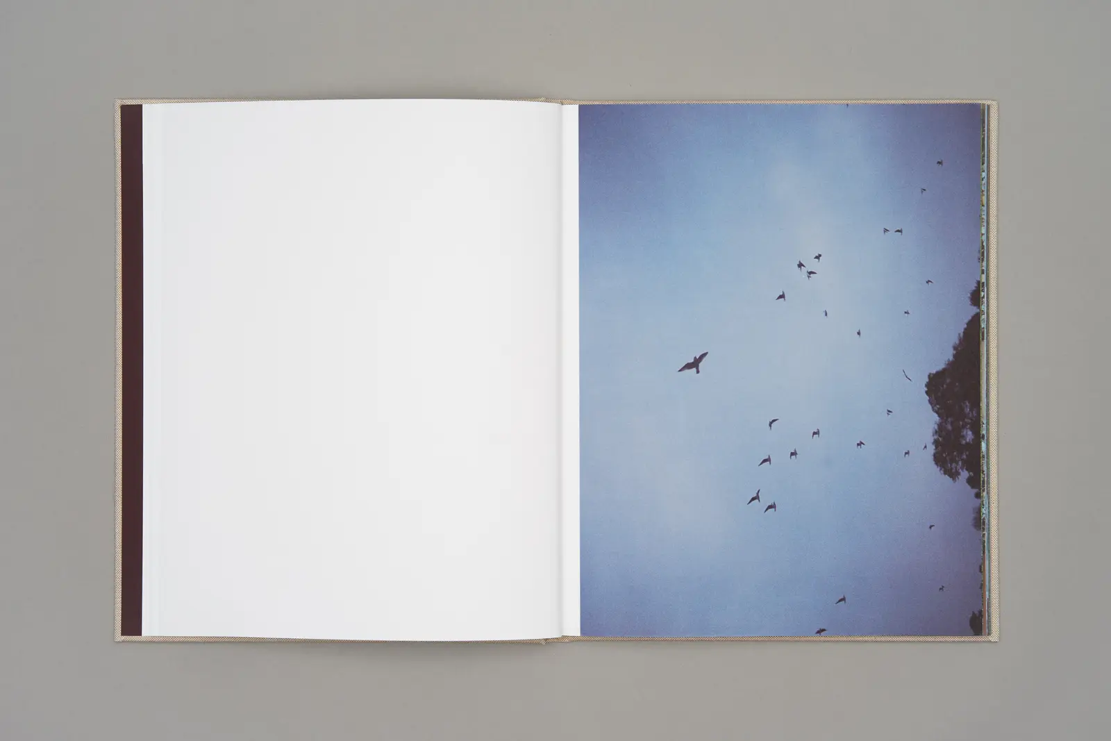 Kumo 雲 image 6