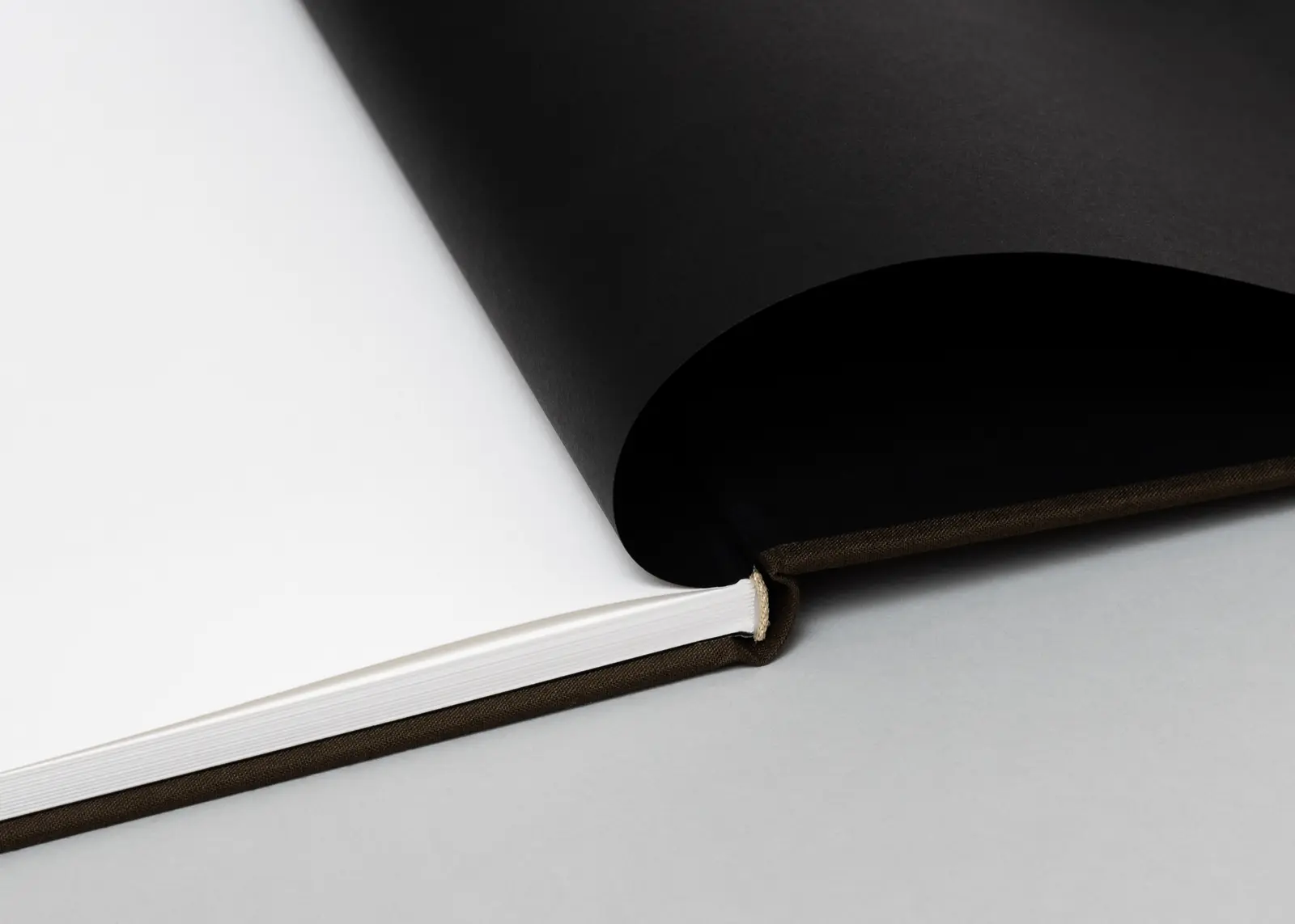 Penumbra image 3