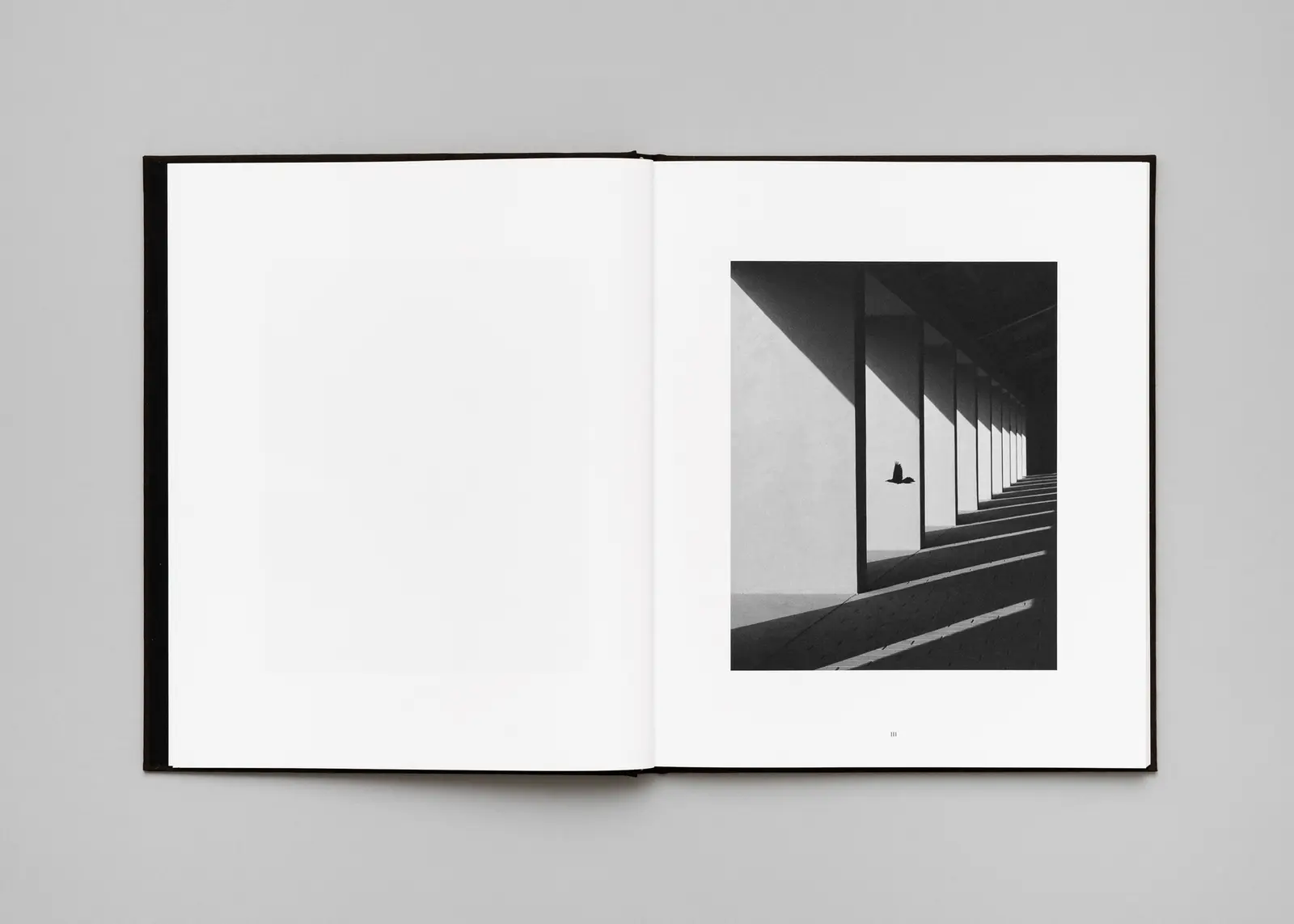 Penumbra image 4