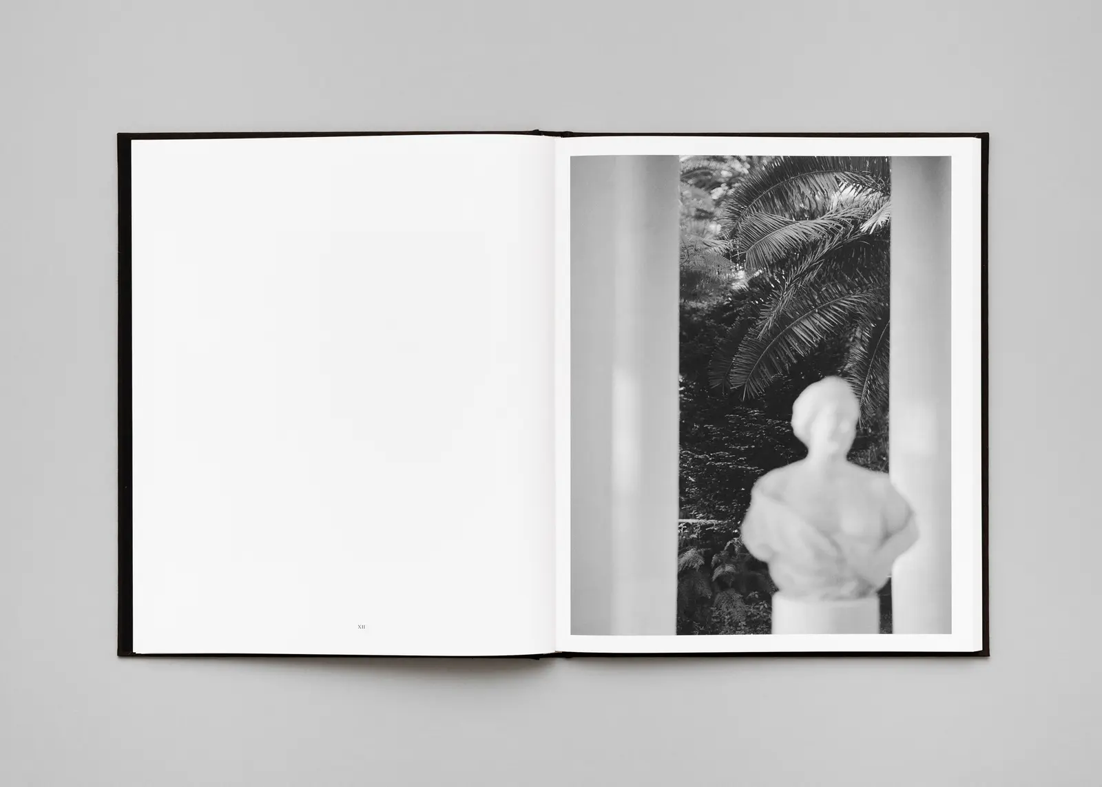 Penumbra image 8