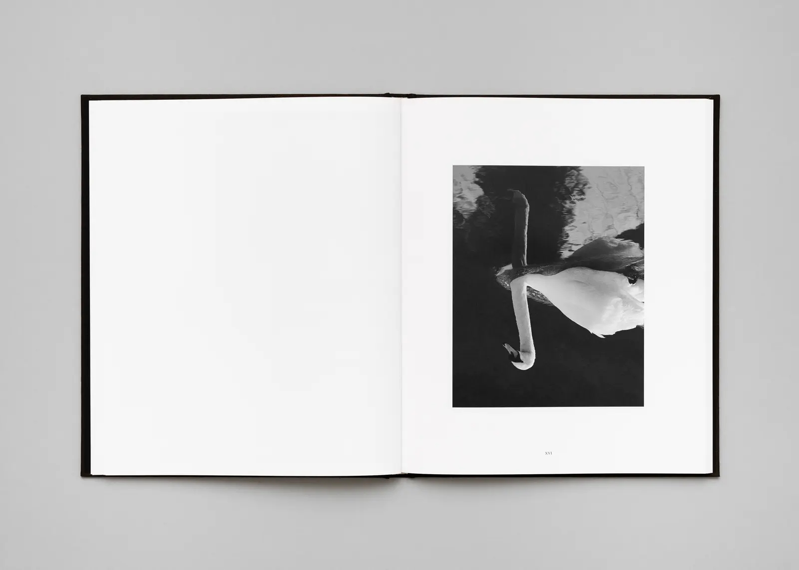 Penumbra image 11