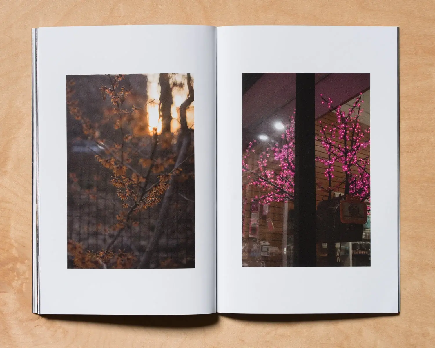 A Setting Sun Vol 02 image 5