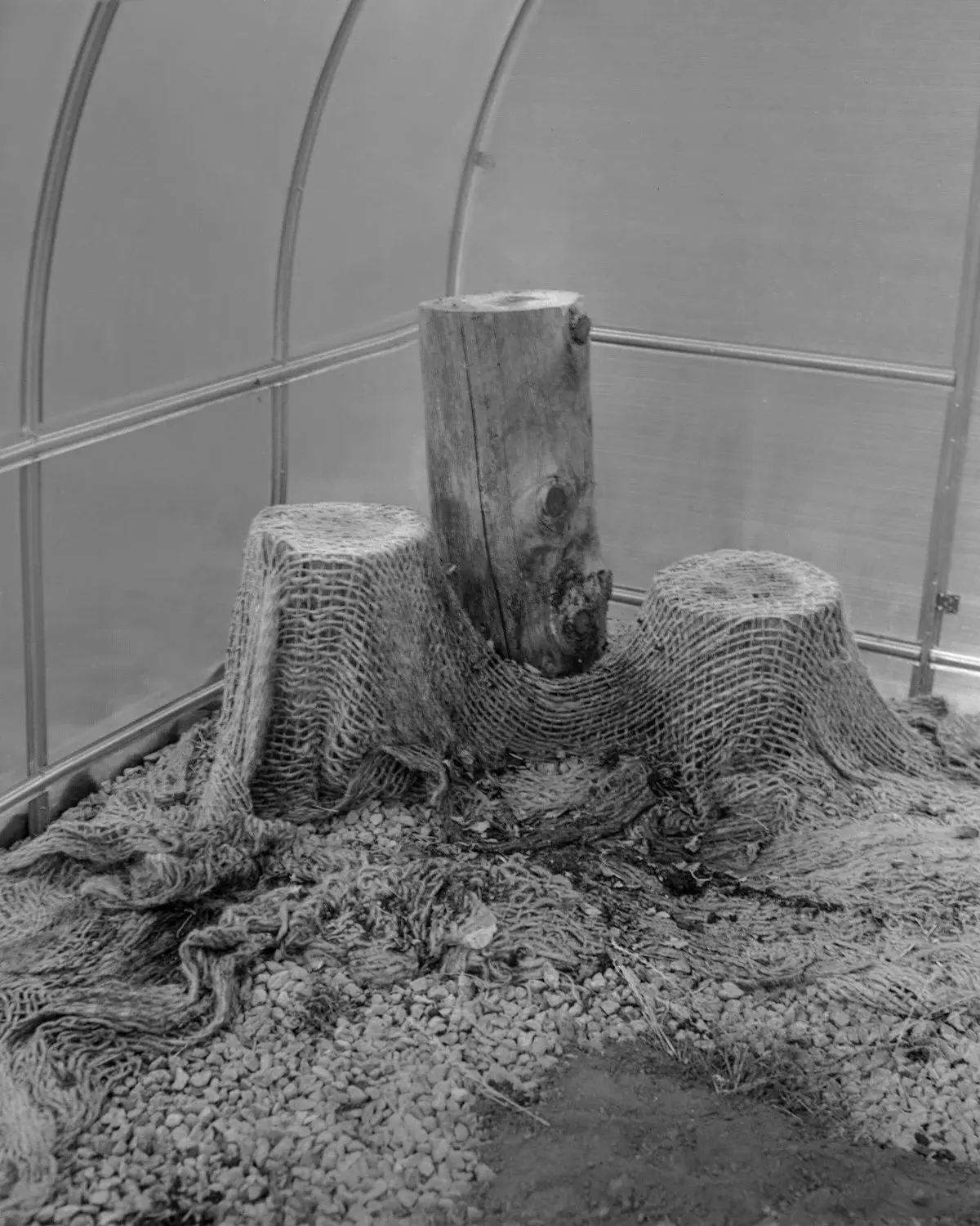 THE HAWK image 7