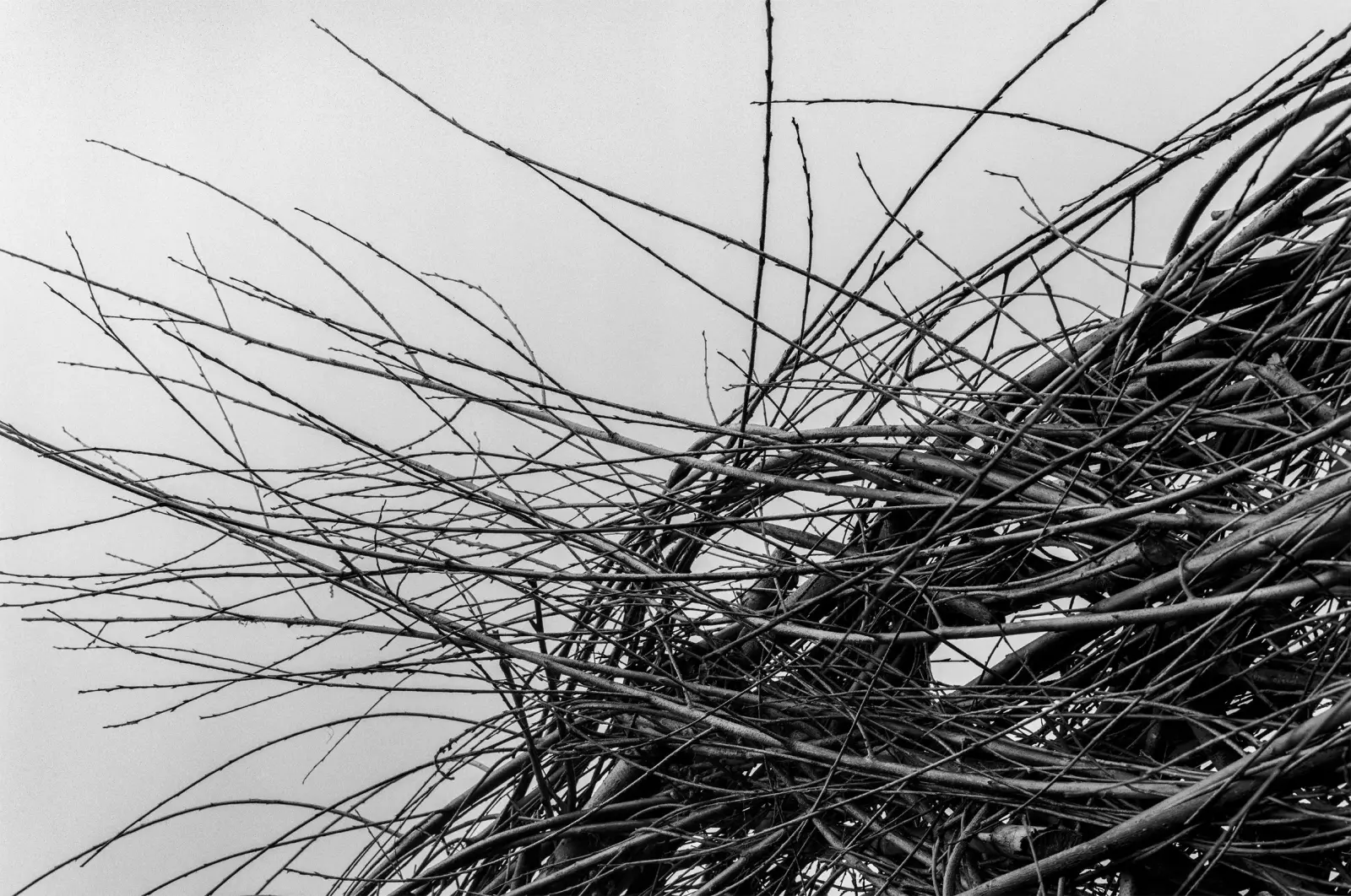 Sticks image 2