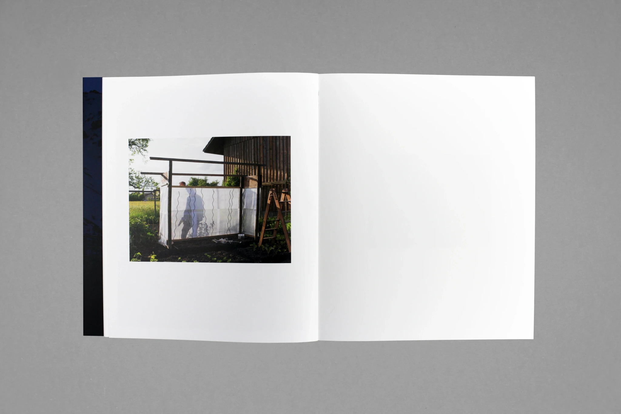 Still (Noon) image 5