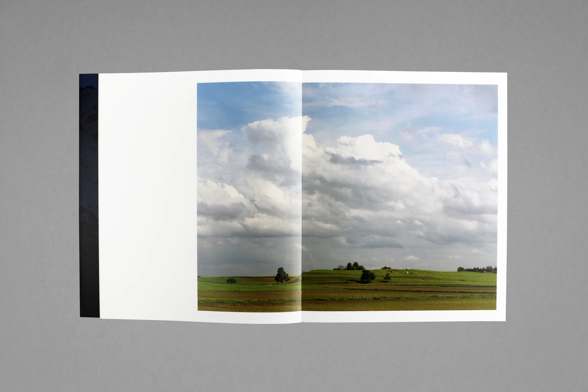 Still (Noon) image 6