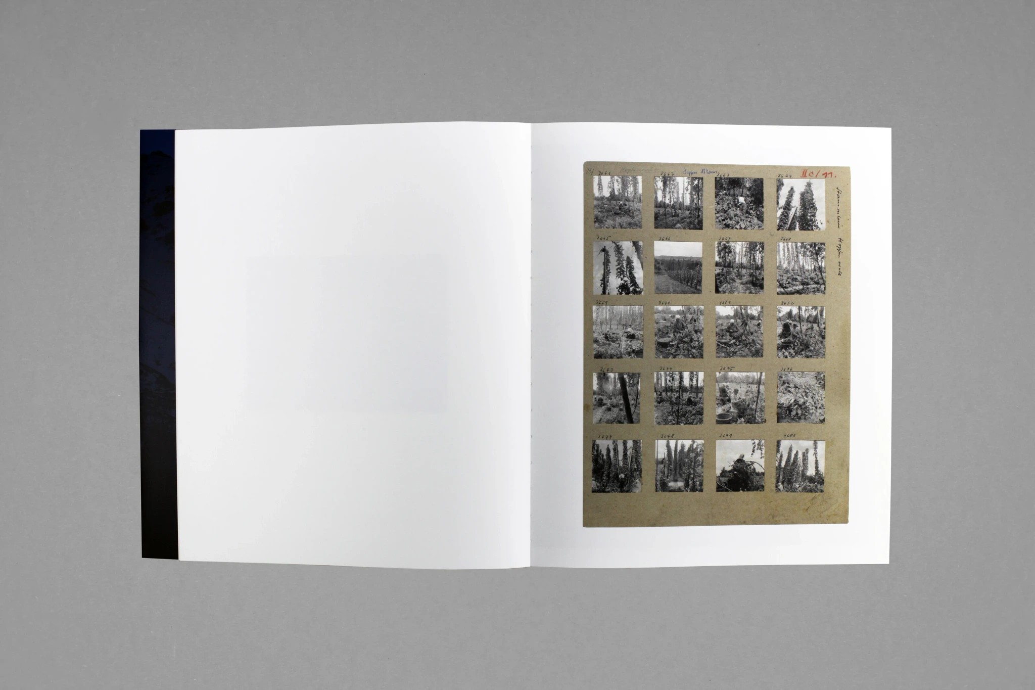 Still (Noon) image 7
