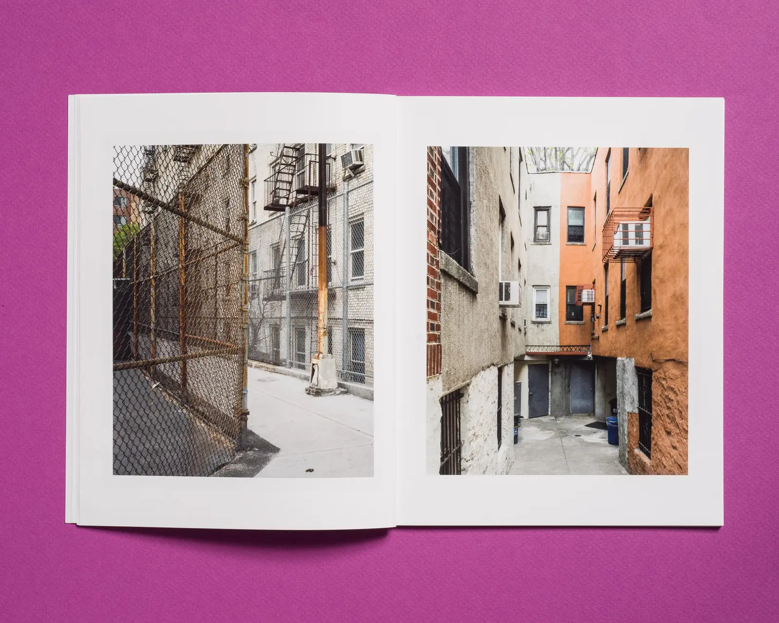 The Bronx, New York image 8