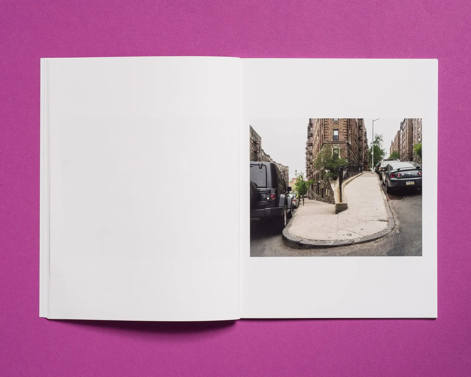 The Bronx, New York image 10