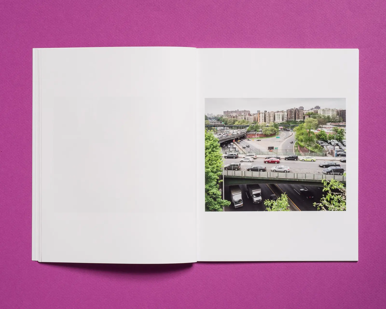The Bronx, New York image 11