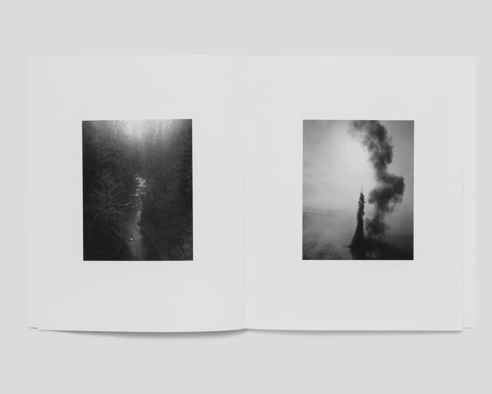 Errors of Possession image 3
