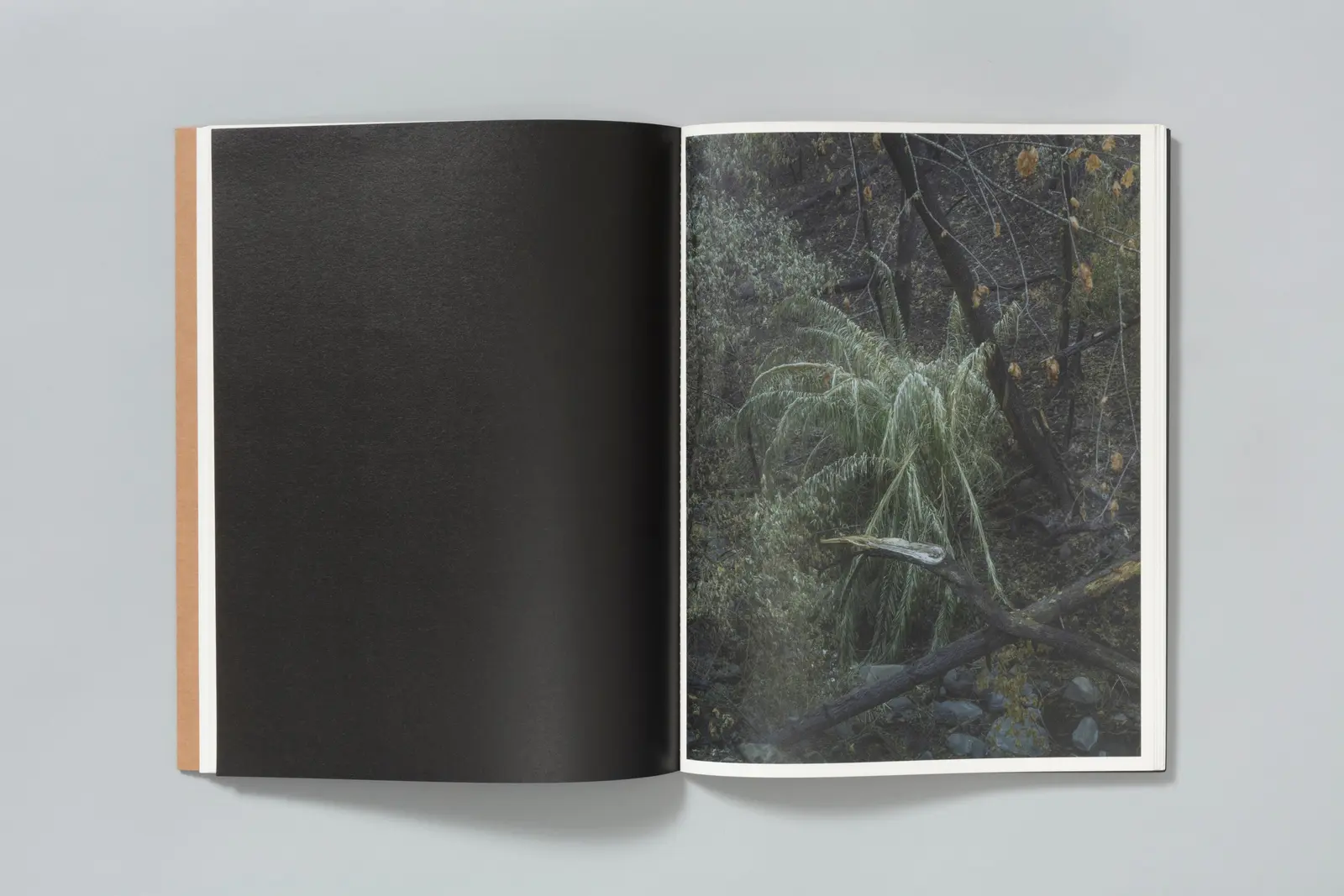 Asunder image 6