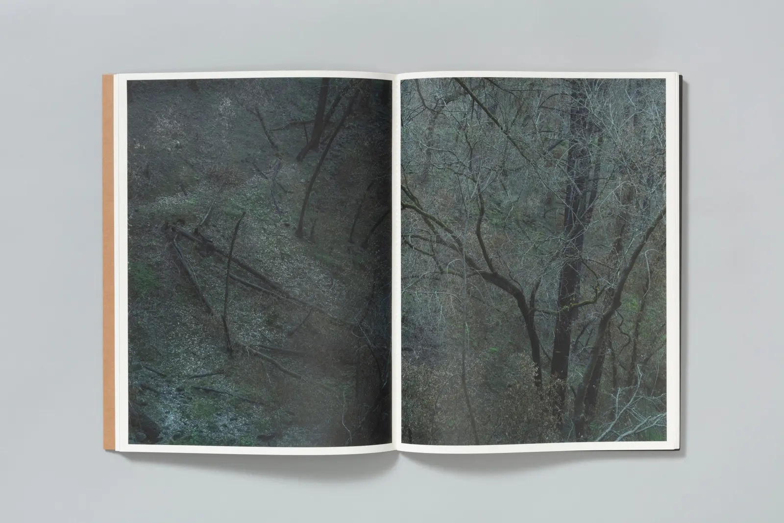 Asunder image 7