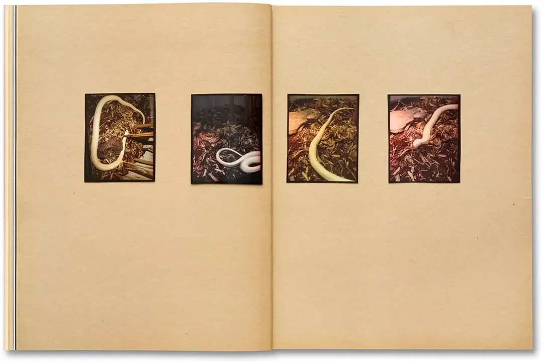 Omaha Sketchbook image 3