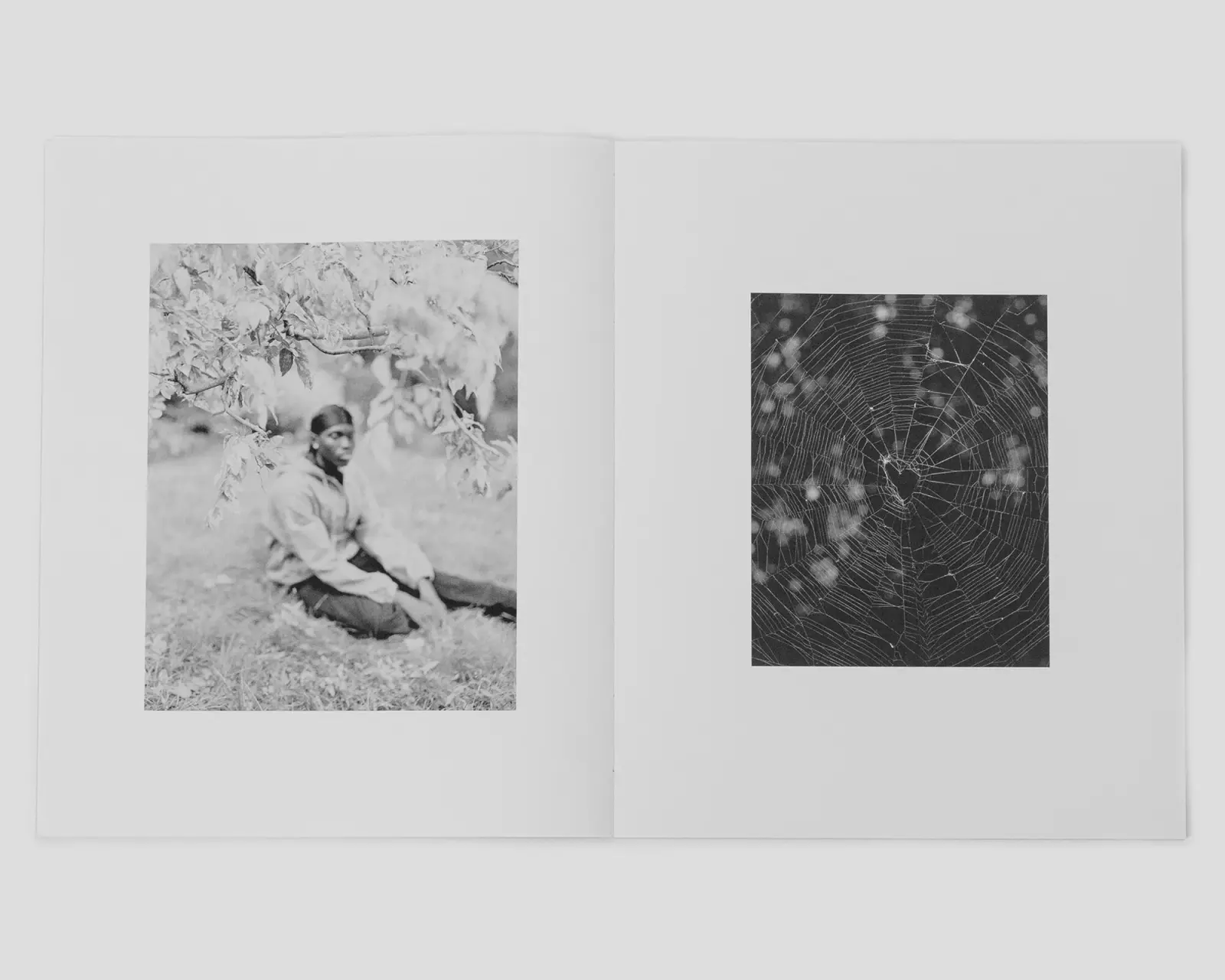 Languor image 3