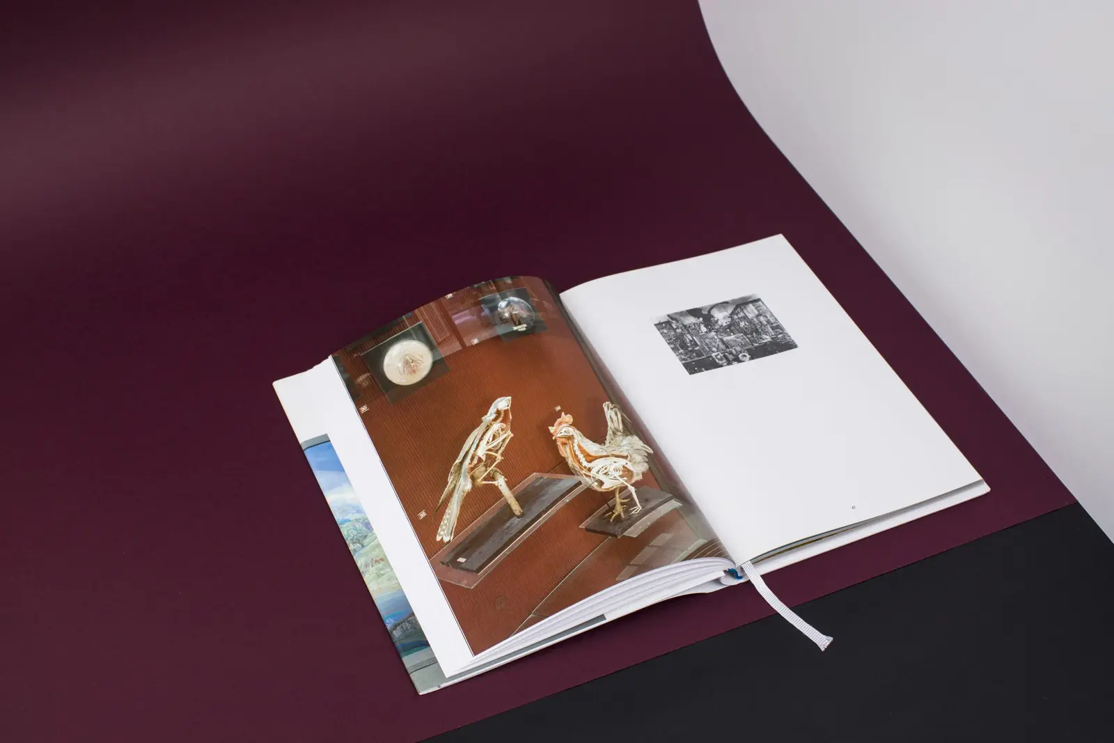 Museutopia image 3