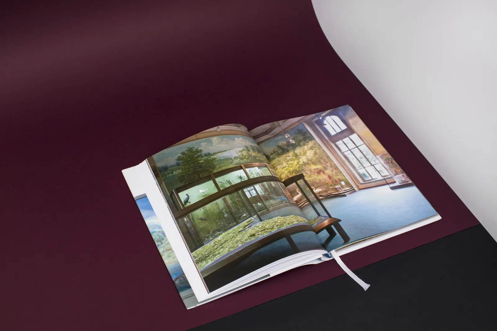 Museutopia image 4