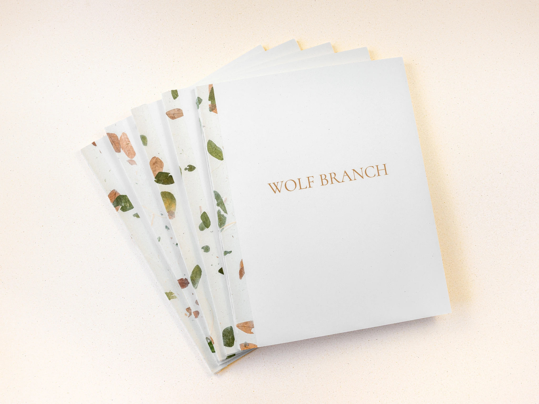Wolf Branch image 2