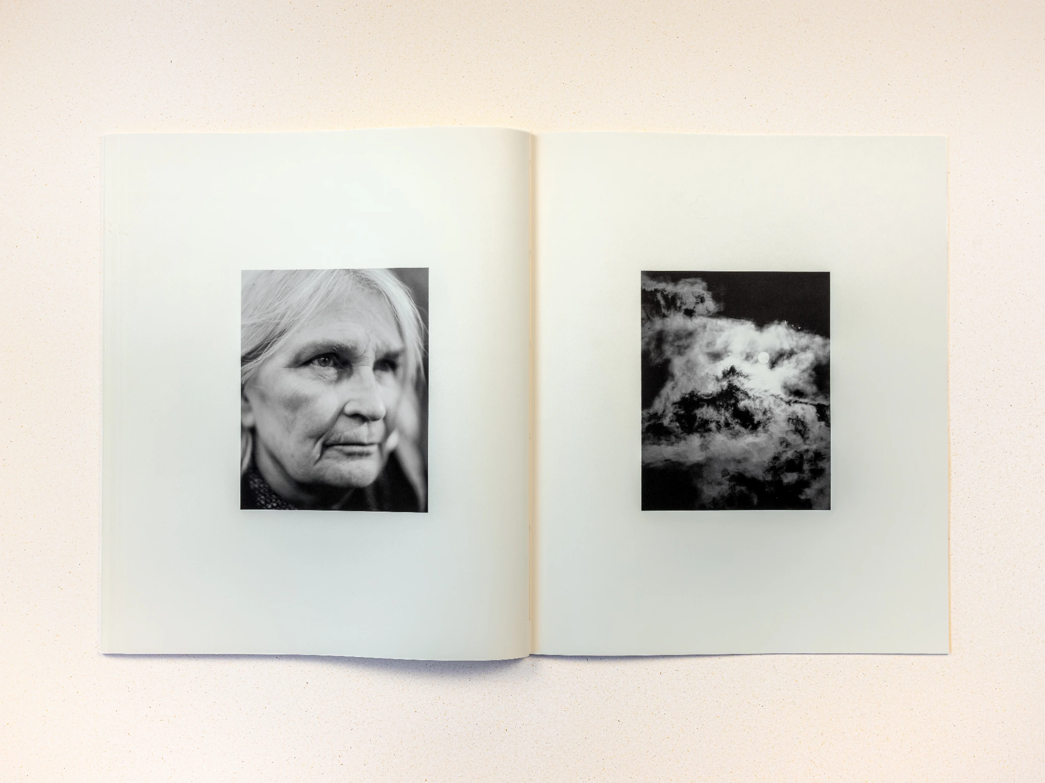 Wolf Branch image 4