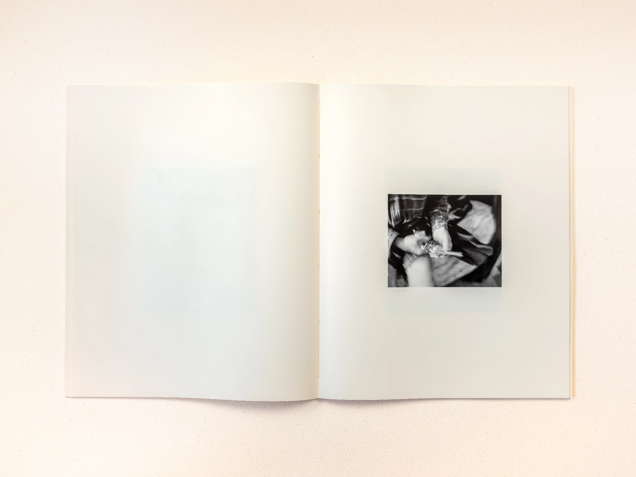 Wolf Branch image 5