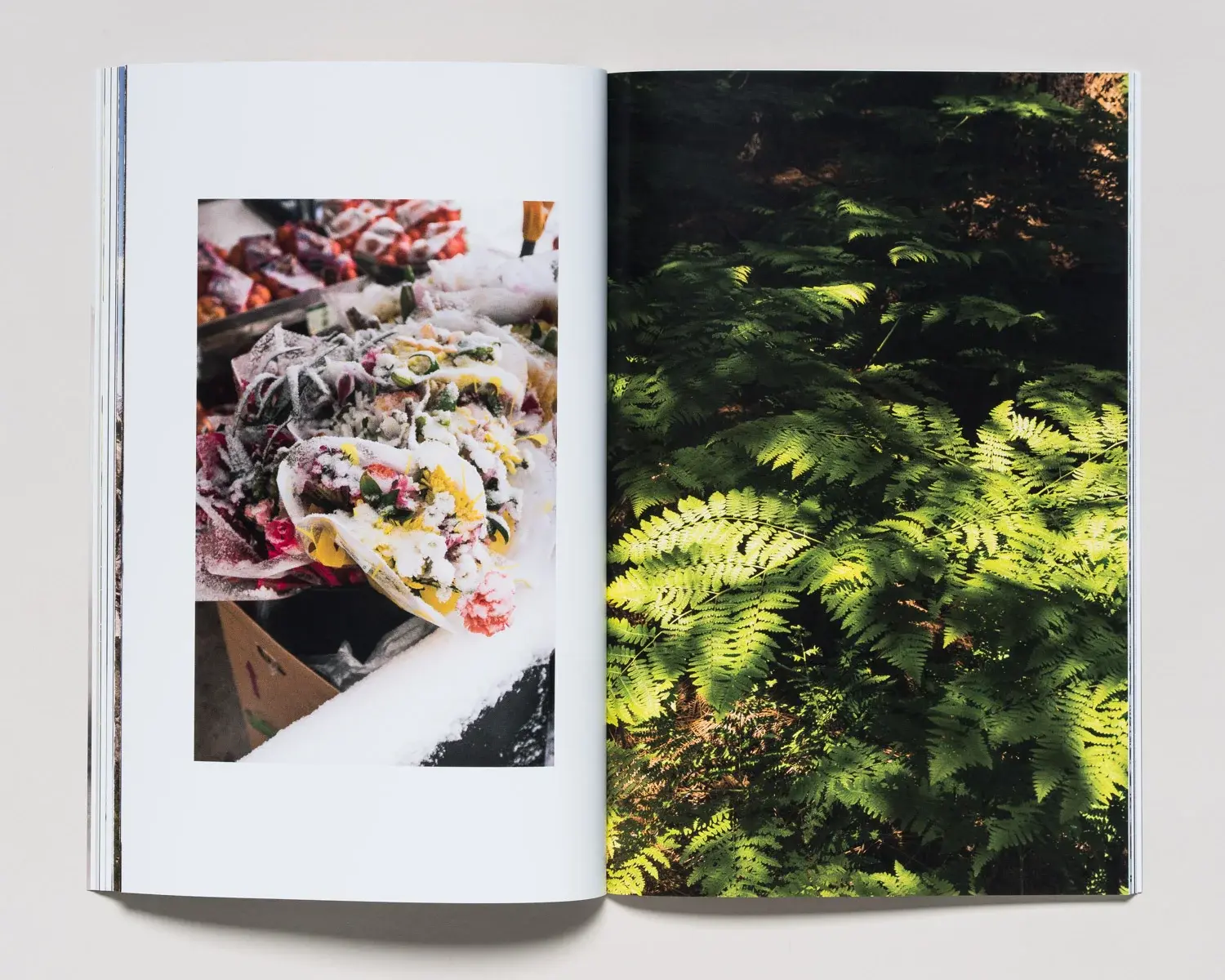 A Setting Sun Vol 03 image 6