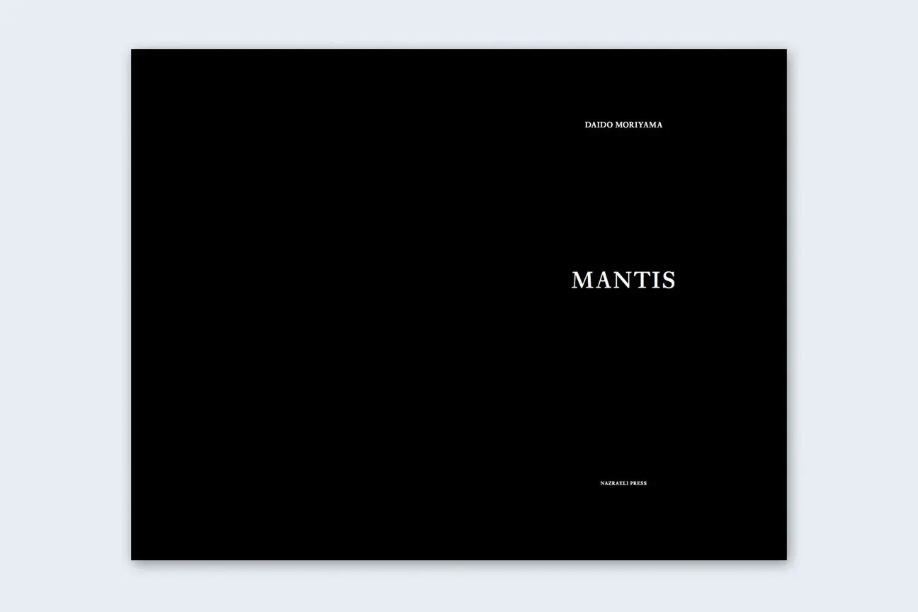 Mantis image 4