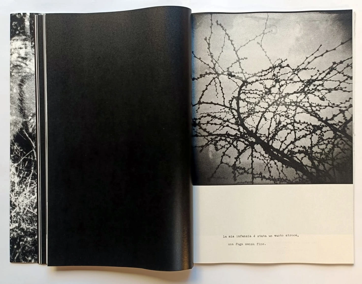 Cara Foresta image 3