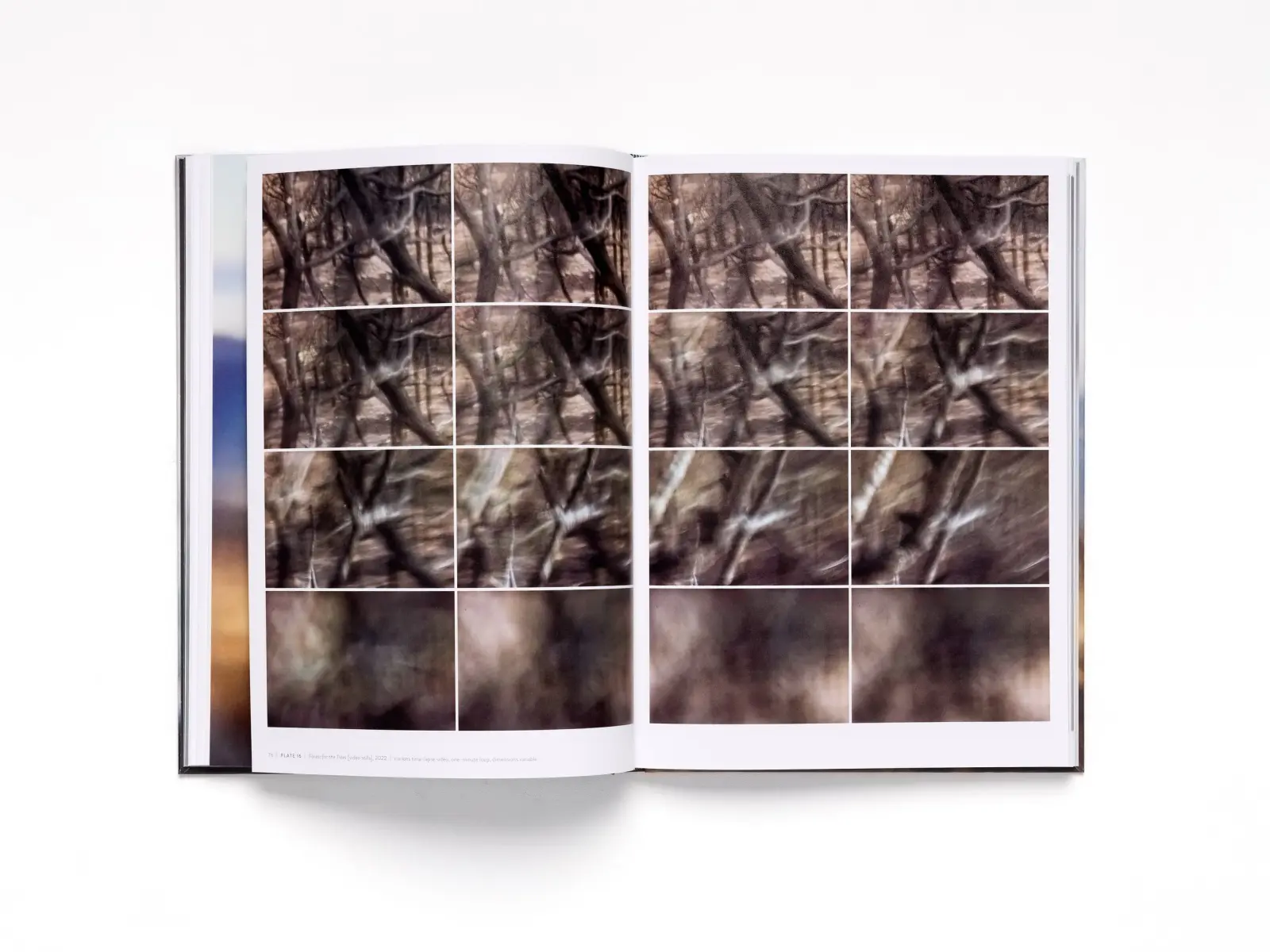 Glacial Optics image 10