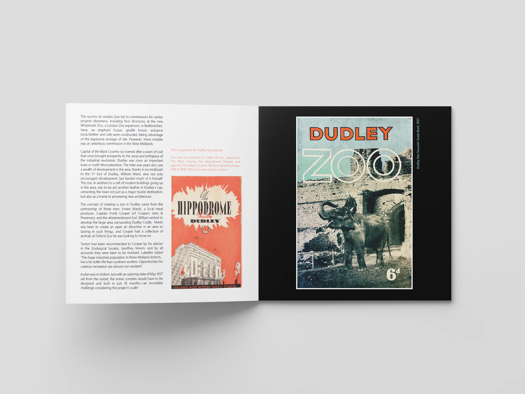 Concrete Jungle - An Introduction to Dudley Zoological Garden's Pioneering Geometric Tectons image 2