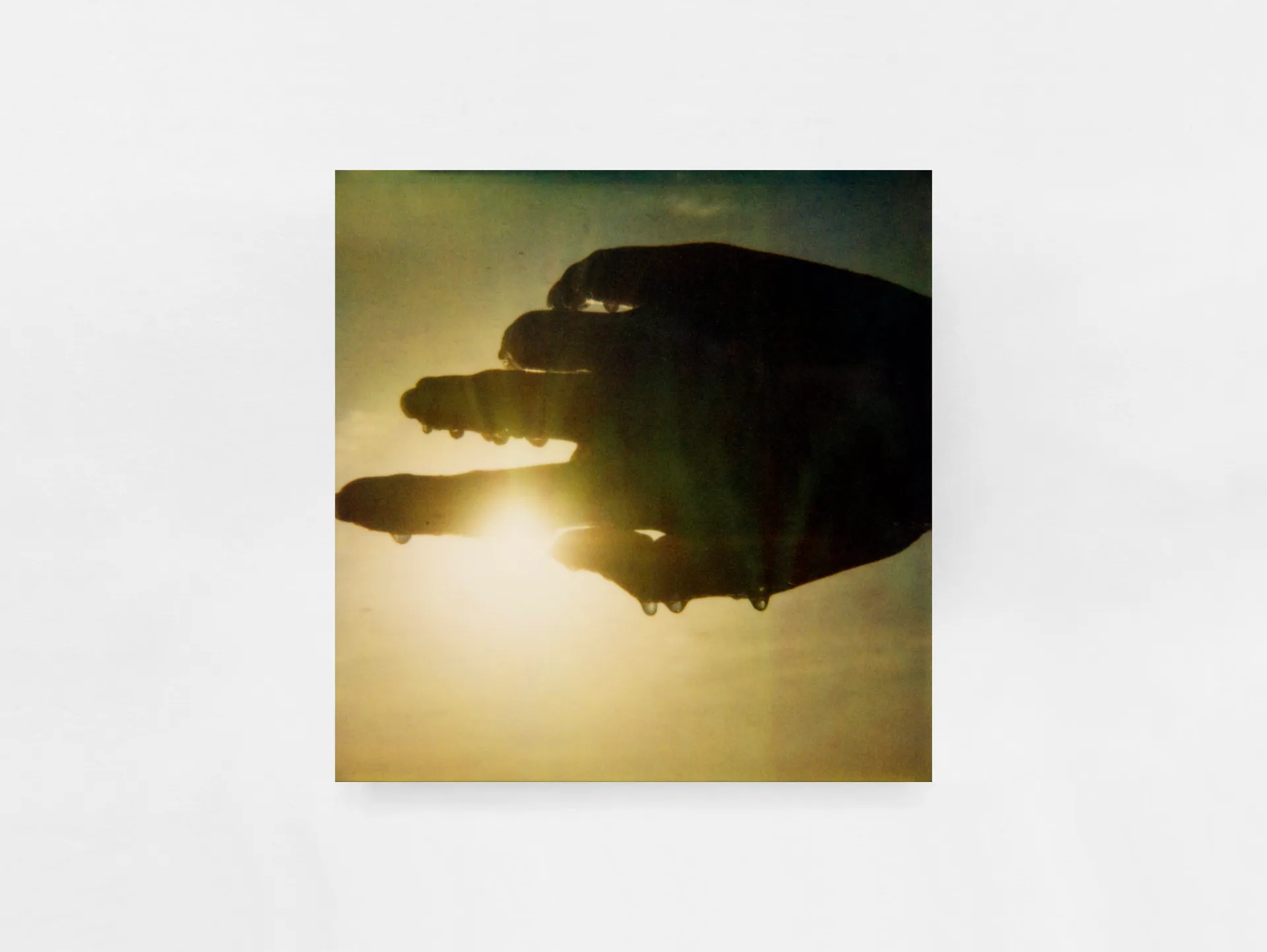 Day / Night image 4