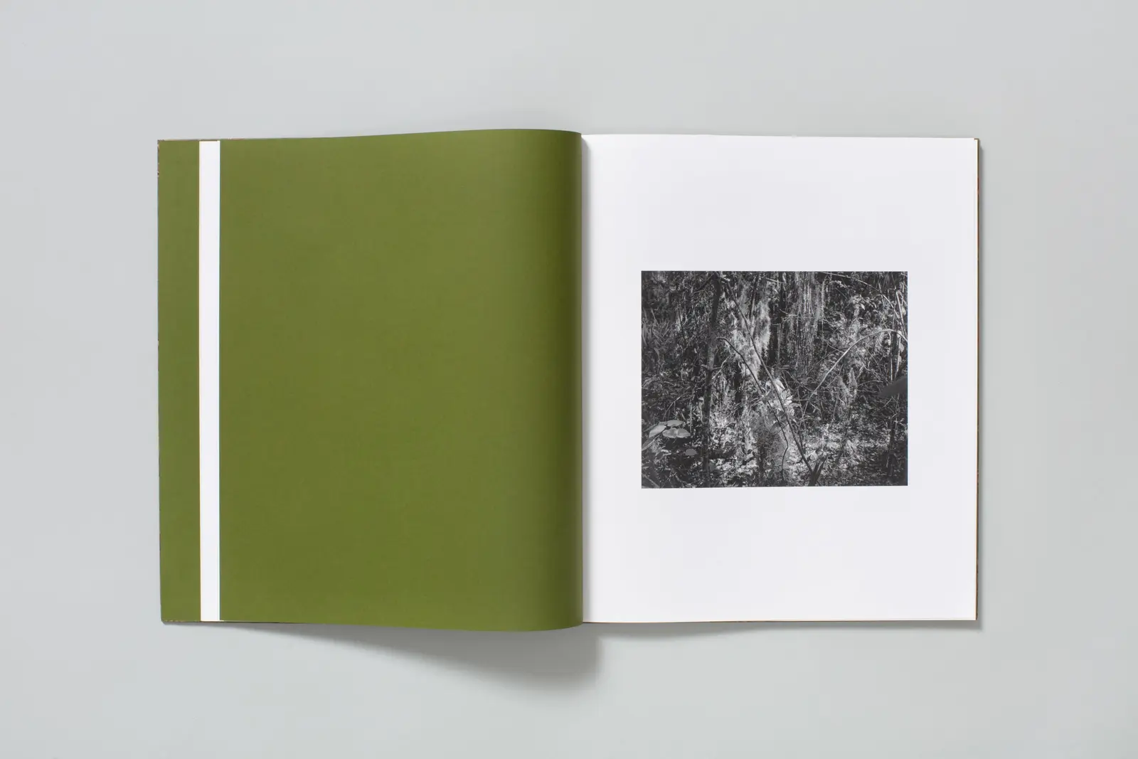 Blood Green image 2
