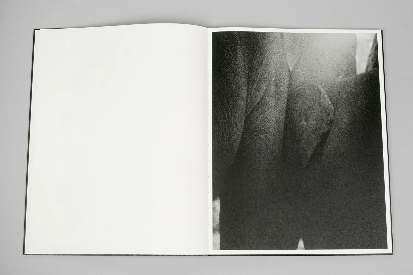 Entendue image 3