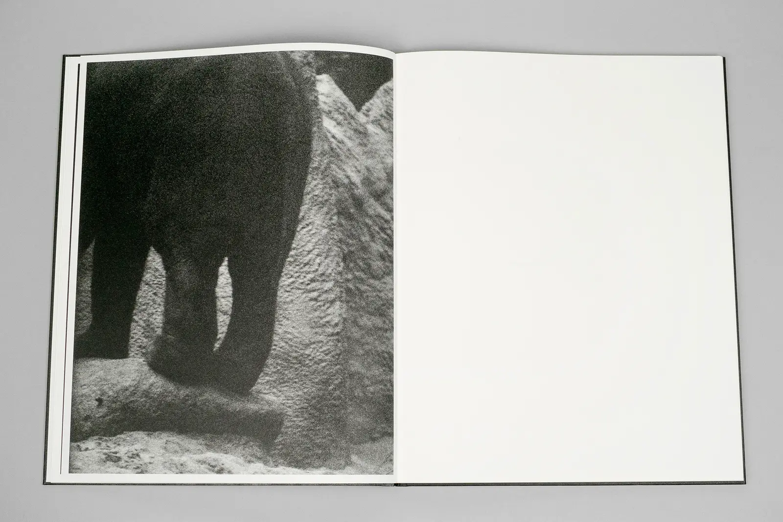 Entendue image 4