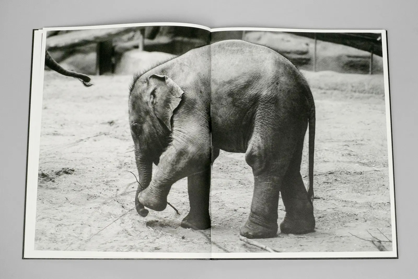 Entendue image 6