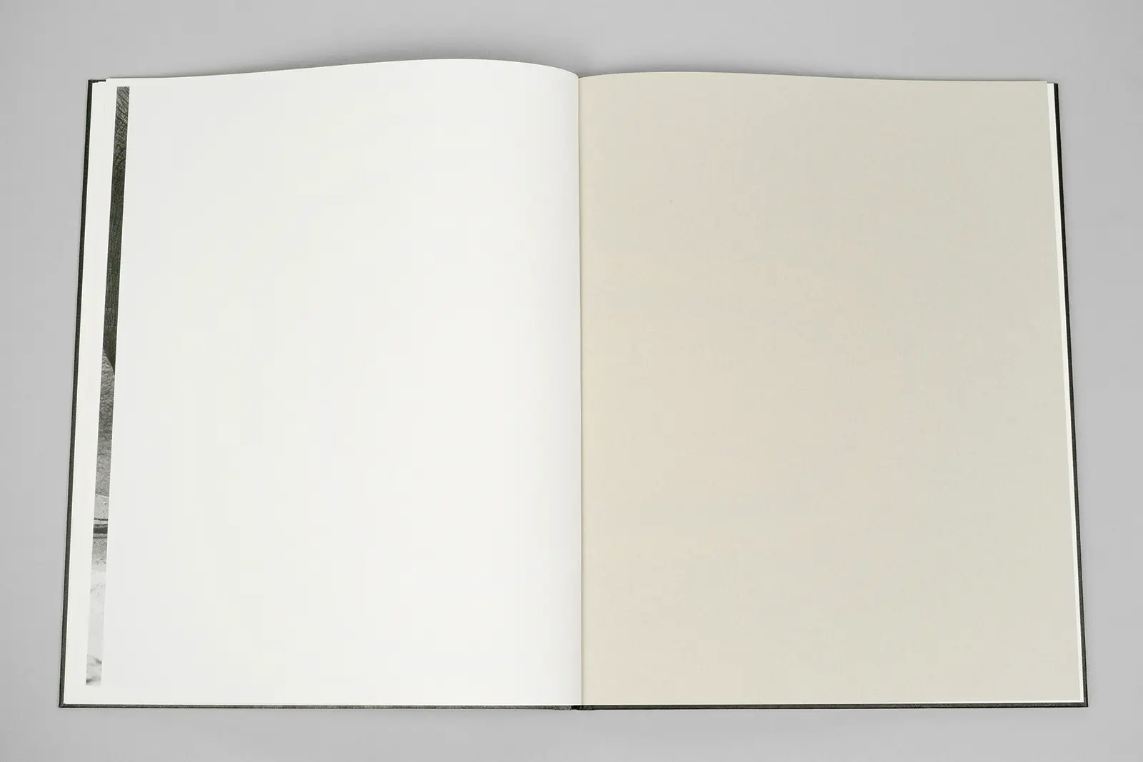 Entendue image 7