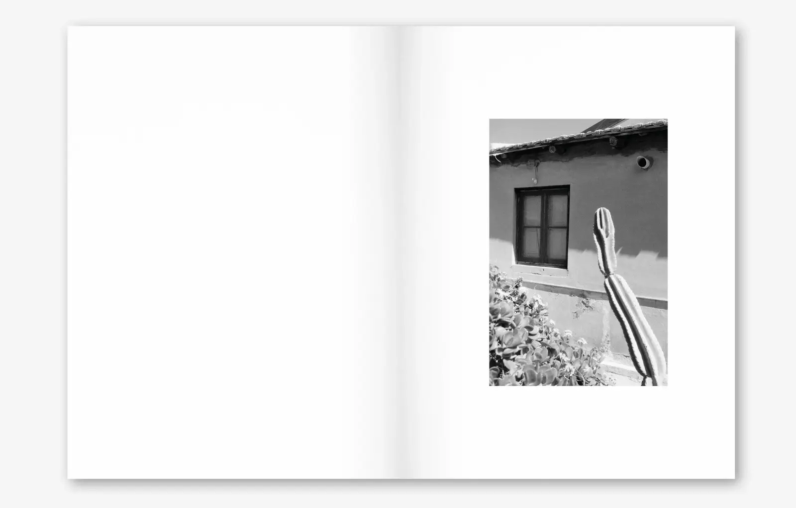Luoghi image 3