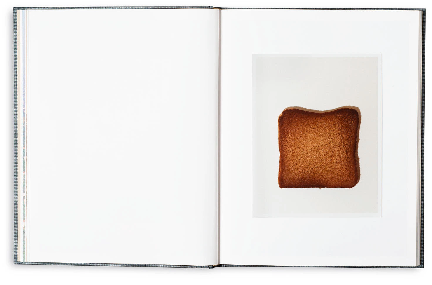 Dear Clark, image 7