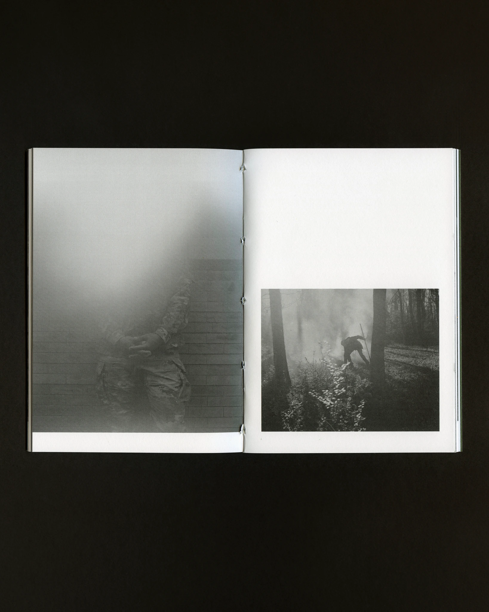 Stasis 001 image 3