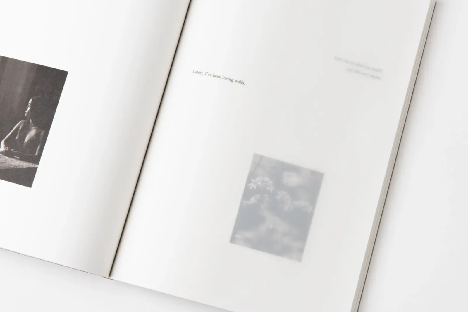 in the midday silver image 9