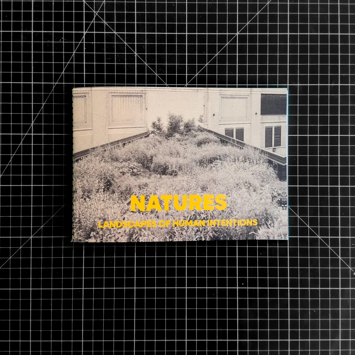 Natures: Landscapes of Human Intentions (2nd Edition)