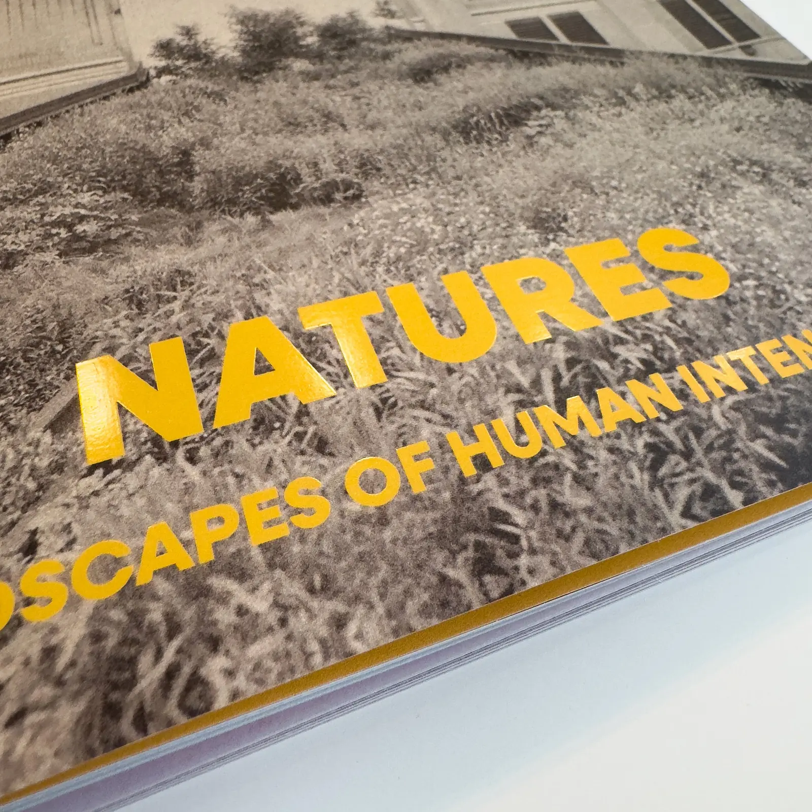 Natures: Landscapes of Human Intentions (2nd Edition) image 2