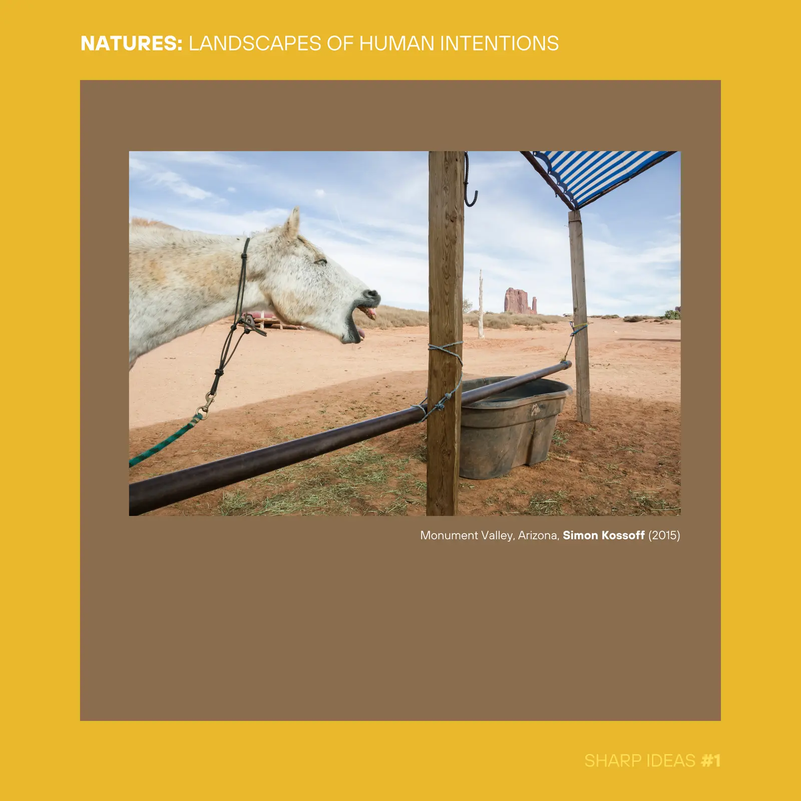 Natures: Landscapes of Human Intentions (2nd Edition) image 3
