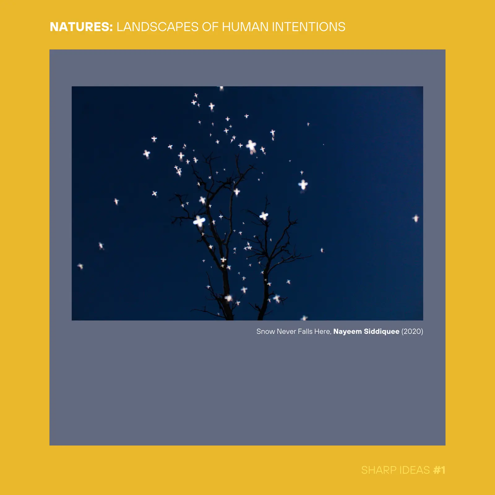 Natures: Landscapes of Human Intentions (2nd Edition) image 6