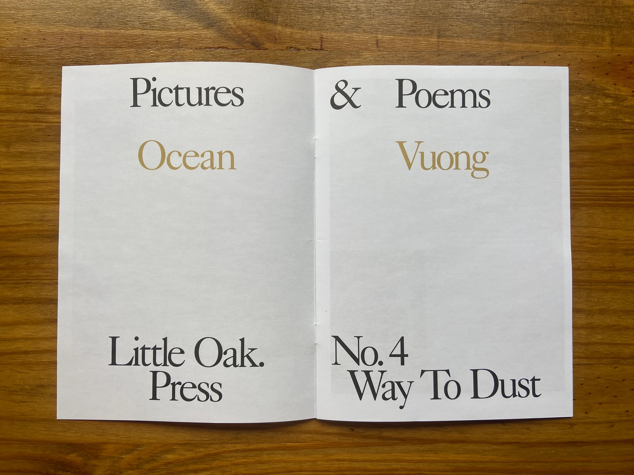 Pictures and Poems, No. 04: Way to Dust (Ocean Vuong) image 2