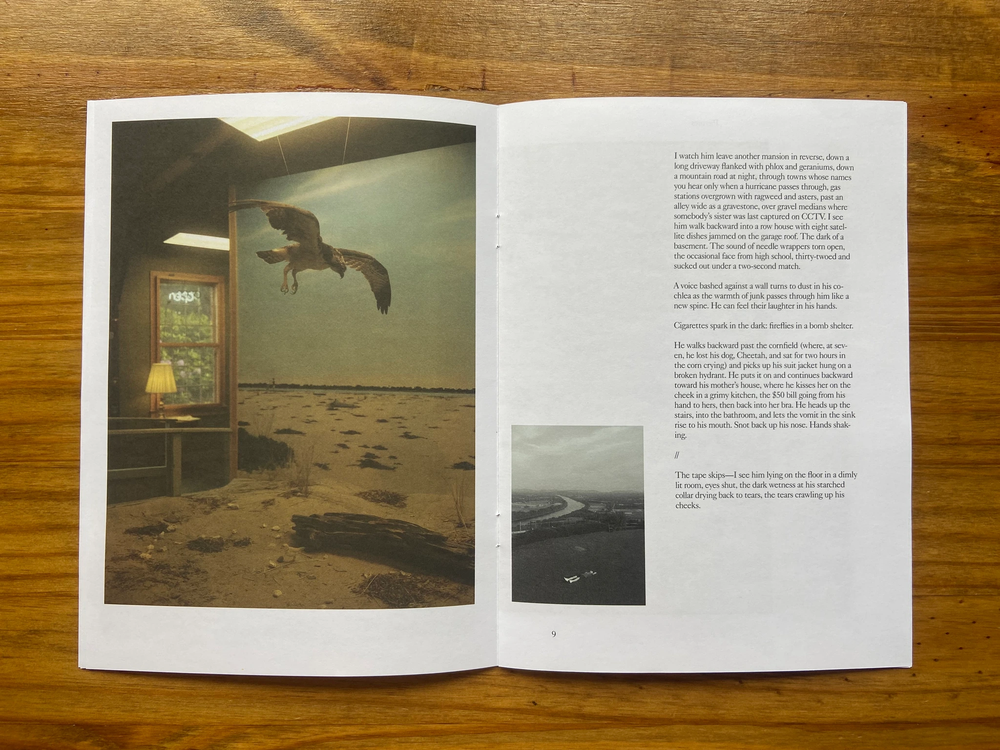 Pictures and Poems, No. 04: Way to Dust (Ocean Vuong) image 4