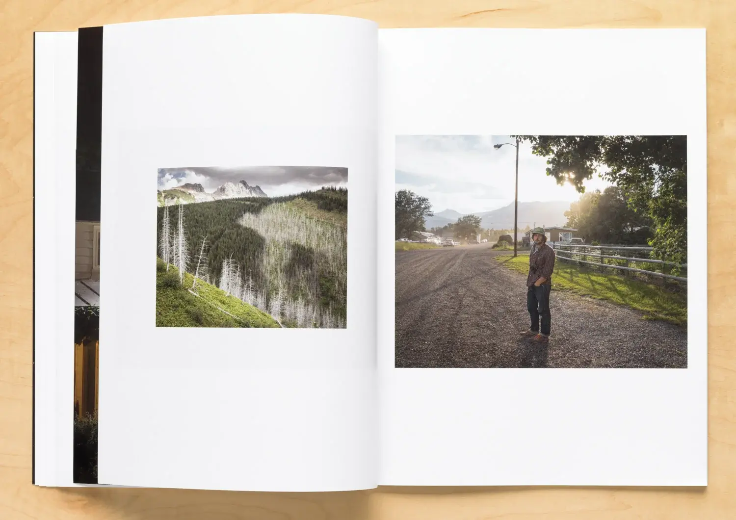 Provisional Scenery image 8