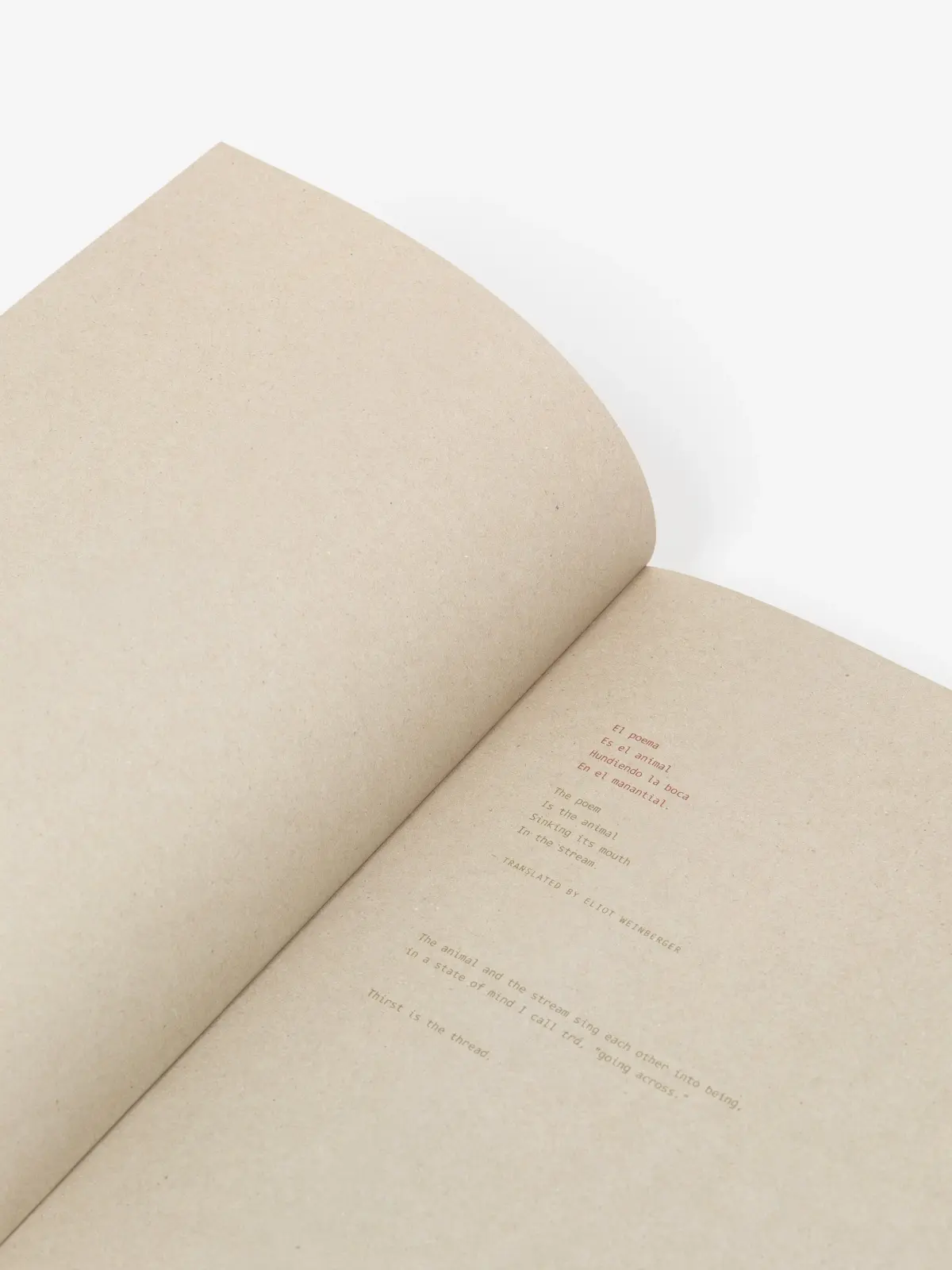 Deer Book/Libro Venado image 3